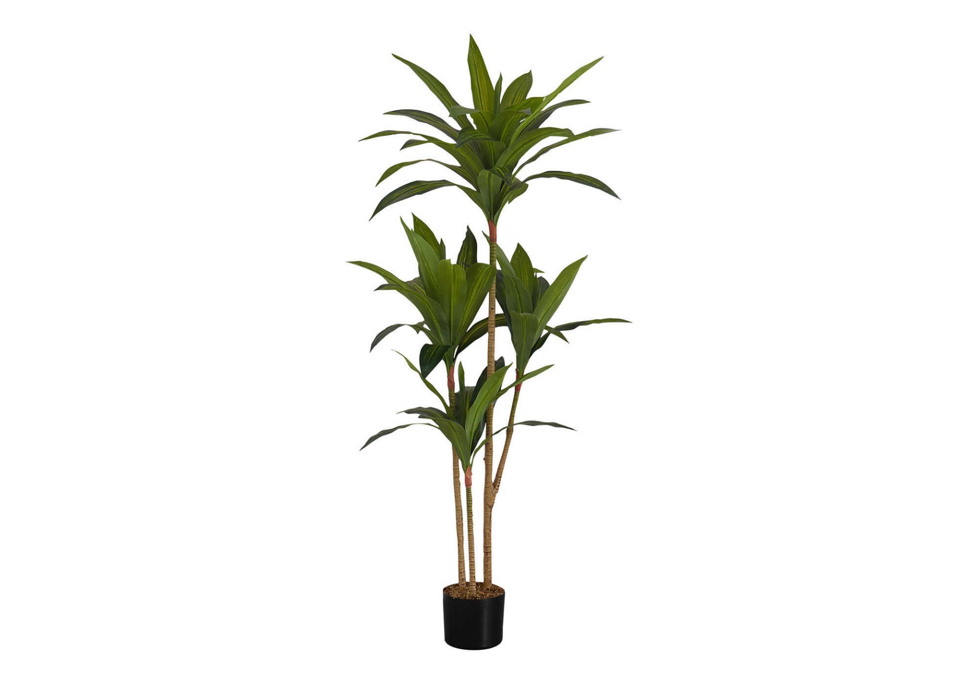 51" Tall, Artificial Plant, Dracaena Tree, Indoor, Faux, Fake, Floor, Greenery, Potted, Real Touch, Decorative - Green / Black - Image 2