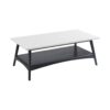 Parker - Coffee Table With Storage Shelf - Off-White / Black - Image 4