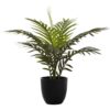 20" Tall, Artificial Plant, Palm, Indoor, Faux, Fake, Table, Greenery, Potted, Real Touch, Decorative - Green / Black - Image 2