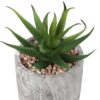6" Tall, Artificial Plant, Succulent, Indoor, Faux, Fake, Table, Greenery, Potted, Decorative (Set of 2) - Green / Gray - Image 2