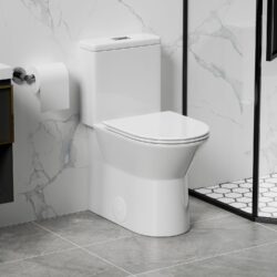 1 Piece Toilet With Dual Flush & Rimless Bowl - Glossy White