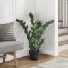 29" Tall, Artificial Plant, Zz Tree, Indoor, Faux, Fake, Floor, Greenery, Potted, Real Touch, Decorative - Green / Black - Image 7