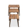 Hilson - Nesting Table - Walnut - Image 5