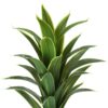 47" Tall, Artificial Plant, Dracaena Tree, Indoor, Faux, Fake, Floor, Greenery, Potted, Real Touch, Decorative - Green / Black - Image 4