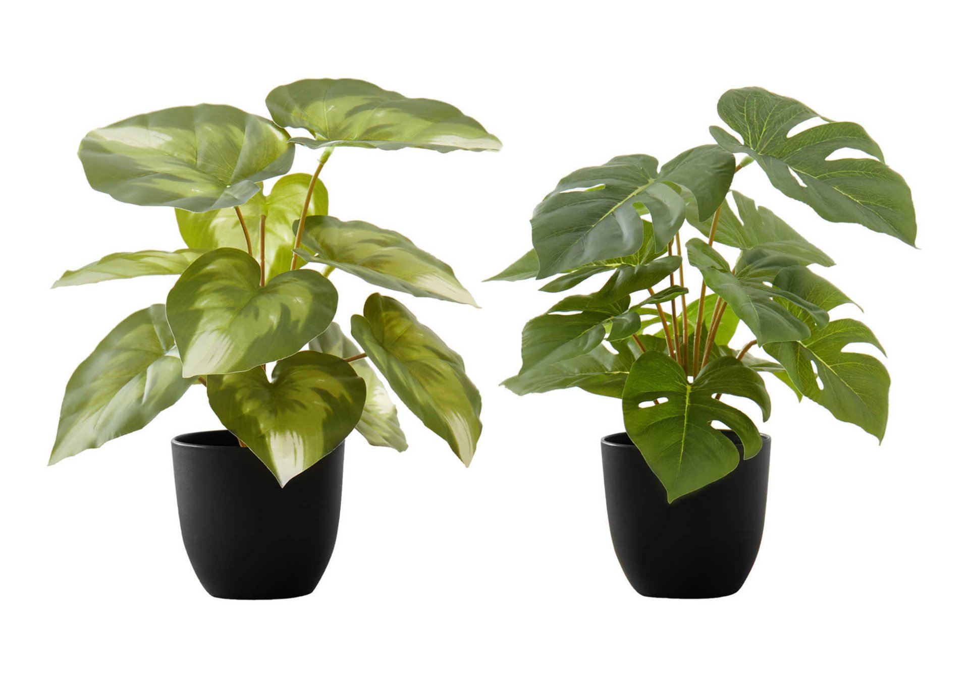 13" Tall, Artificial Plant, Monstera Calthea, Indoor, Faux, Fake, Table, Greenery, Potted, Decorative (Set of 2) - Green / Black - Image 2