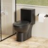 1 Piece Toilet With Tornado Flush, Soft Closing Seat, 12" Siphonic S Trap - Matte Black - Image 2