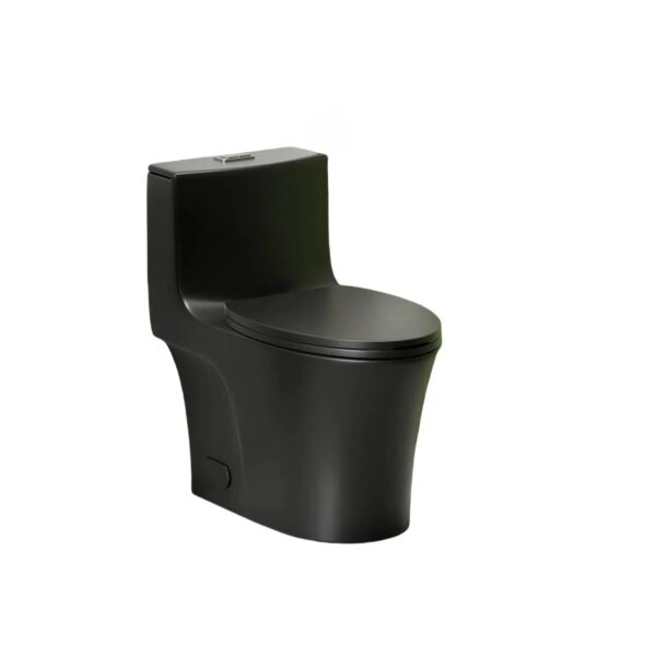 1 Piece Toilet With Dual Flush And Soft Closing Seat - Matte Black