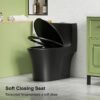 1 Piece Toilet With Dual Flush And Soft Closing Seat - Matte Black - Image 11