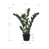 29" Tall, Artificial Plant, Zz Tree, Indoor, Faux, Fake, Floor, Greenery, Potted, Real Touch, Decorative - Green / Black - Image 6