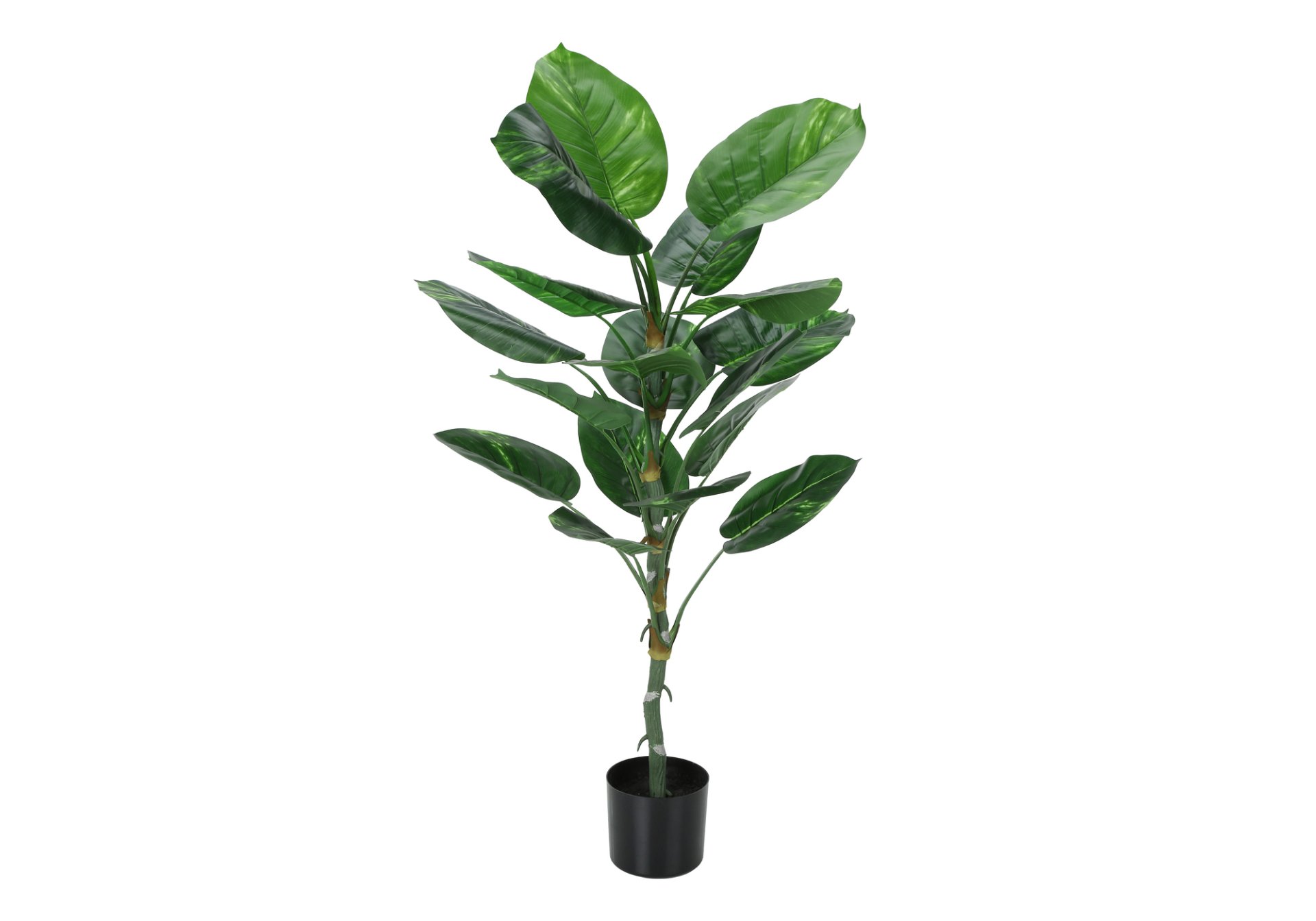 54" Tall, Artificial Plant, Dieffenbachia Tree, Indoor, Faux, Fake, Floor, Greenery, Potted, Real Touch, Decorative - Green / Black - Image 2