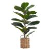28" Tall, Artificial Plant, Fiddle Tree, Indoor, Faux, Fake, Floor, Greenery, Potted, Real Touch, Decorative - Green / Beige - Image 2