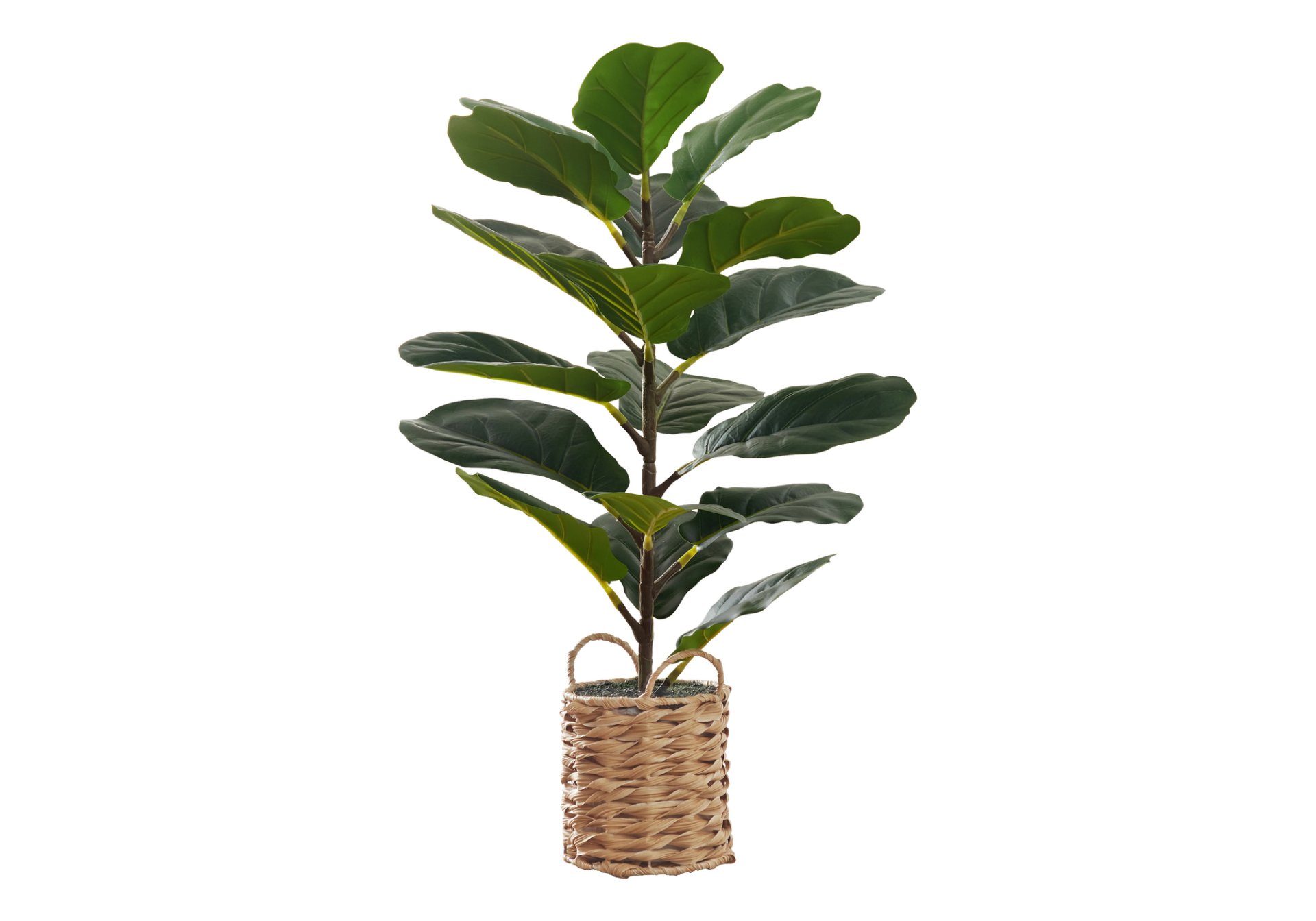 28" Tall, Artificial Plant, Fiddle Tree, Indoor, Faux, Fake, Floor, Greenery, Potted, Real Touch, Decorative - Green / Beige - Image 2