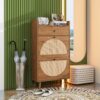 Allen - Rattan 2 Door 1 Drawer Cabinet Shoe Rack For Entrance, Double Layer - Walnut - Image 4
