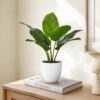 17" Tall, Artificial Plant, Aureum, Indoor, Faux, Fake, Table, Greenery, Potted, Real Touch, Decorative - Green / White - Image 6