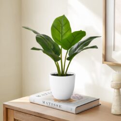 17" Tall, Artificial Plant, Aureum, Indoor, Faux, Fake, Table, Greenery, Potted, Real Touch, Decorative - Green / White
