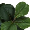 32" Tall, Artificial Plant, Fiddle Tree, Indoor, Faux, Fake, Floor, Greenery, Potted, Real Touch, Decorative - Green / Black - Image 3