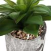 6" Tall, Artificial Plant, Succulent, Indoor, Faux, Fake, Table, Greenery, Potted, Decorative (Set of 2) - Green / Gray - Image 3