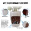 Ceramic Flowerpot, Planter For Patio & Garden Or Windowsill - Milk White - Image 12
