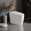 Tankless Smart Toilet With Bidet Built In, 1 Piece Bidet Toilet Seat, Auto Flush, Heated Seat, Warm Water And Dry, Adjustable Temp, Remote Control Side Know - White - Image 2