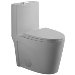 1 Piece Tornado Flush Toilet With Soft Close Seat And Dual Flush Siphonic S Trap - Light Gray