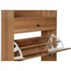 Allen - Rattan 2 Door 1 Drawer Cabinet Shoe Rack For Entrance, Double Layer - Walnut - Image 6
