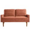 Loveseat Sofa, European Style With Sleek Design, Modern & Vintage Flair, Upholstered 2 Seater Couch - Pumpkin Orange - Image 10