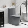 1 Piece Tornado Flush Toilet With Soft Close Seat And Dual Flush Siphonic S Trap - Light Gray - Image 2