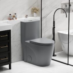 1 Piece Tornado Flush Toilet With Soft Close Seat And Dual Flush Siphonic S Trap - Light Gray