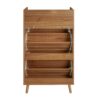 Allen - Rattan 2 Door 1 Drawer Cabinet Shoe Rack For Entrance, Double Layer - Walnut - Image 9
