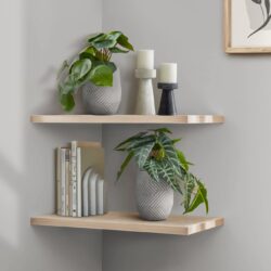 8" Tall, Artificial Plant, Alocasia, Indoor, Faux, Fake, Table, Greenery, Potted, Decorative (Set of 2) - Green / White