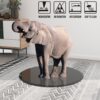 28" Round Tempered Glass Table Top Glass 2 / 5" Thick Beveled Polished Edge - Black - Image 9