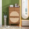 Allen - Rattan 2 Door 1 Drawer Cabinet Shoe Rack For Entrance, Double Layer - Walnut - Image 2