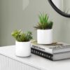 7" Tall, Artificial Plant, Succulent, Indoor, Faux, Fake, Table, Greenery, Potted, Decorative (Set of 2) - Green / White - Image 5