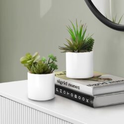 7" Tall, Artificial Plant, Succulent, Indoor, Faux, Fake, Table, Greenery, Potted, Decorative (Set of 2) - Green / White