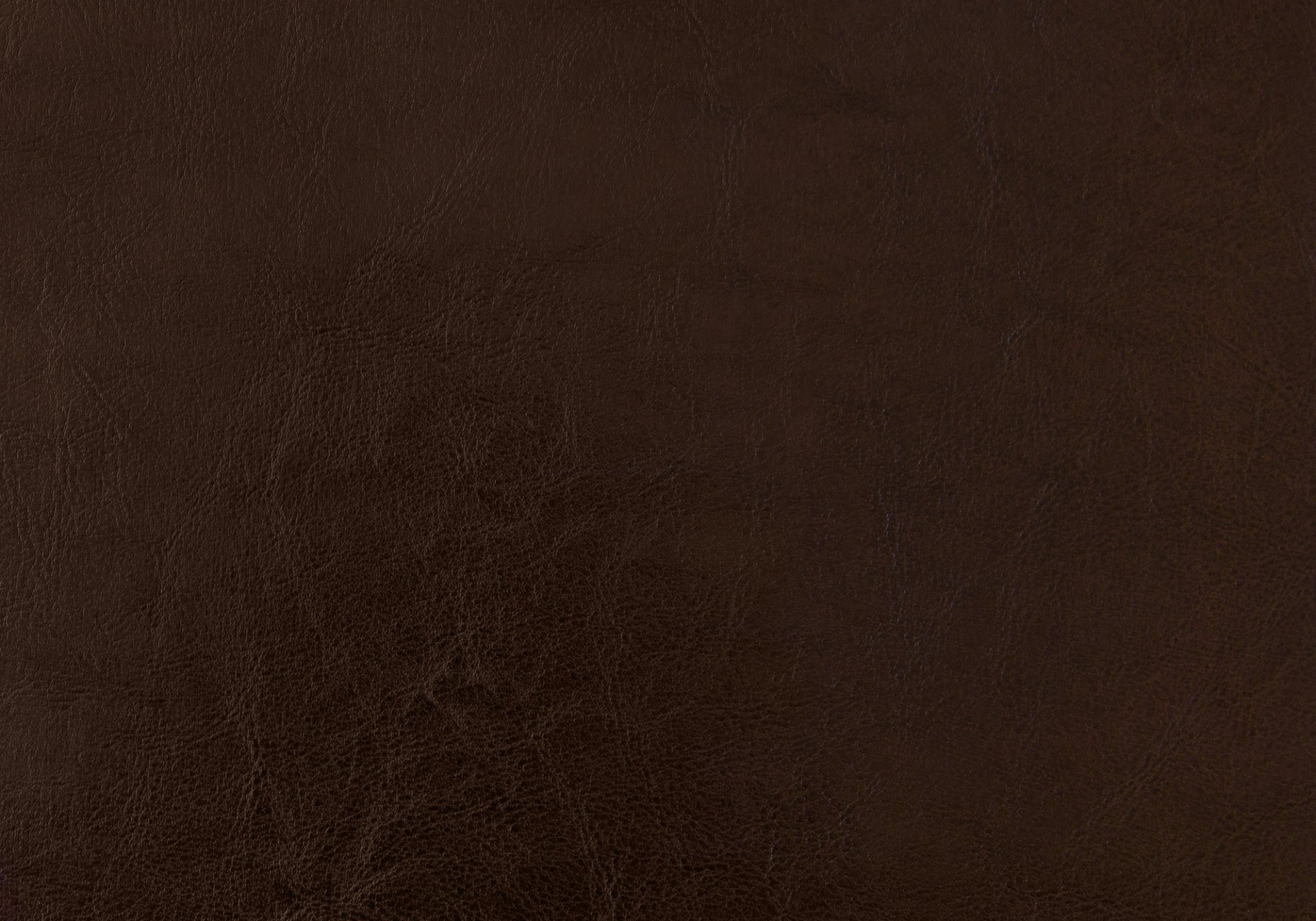 Twin Size Bed, Upholstered, Transitional - Brown - Image 5