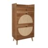 Allen - Rattan 2 Door 1 Drawer Cabinet Shoe Rack For Entrance, Double Layer - Walnut - Image 7