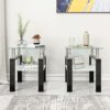 Modern Tempered Glass Tea Table, End Square Table For Living Room (Set of 2) - Transparent / Black - Image 4