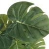 13" Tall, Artificial Plant, Monstera Calthea, Indoor, Faux, Fake, Table, Greenery, Potted, Decorative (Set of 2) - Green / Black - Image 5