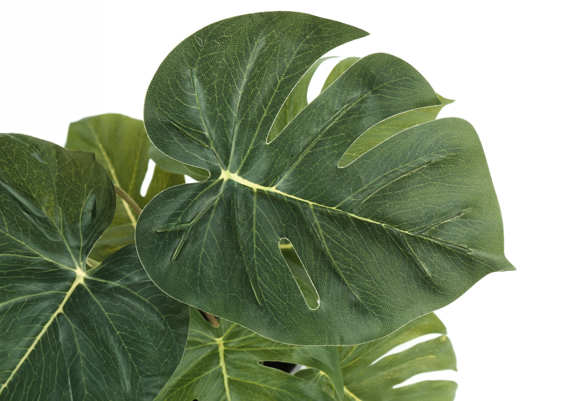 13" Tall, Artificial Plant, Monstera Calthea, Indoor, Faux, Fake, Table, Greenery, Potted, Decorative (Set of 2) - Green / Black - Image 5