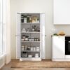 Metal Kitchen Pantry Cabinet With Adjustable Storage And 4 Heavy Duty Shelves - White - Image 6