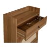 Allen - Rattan 2 Door 1 Drawer Cabinet Shoe Rack For Entrance, Double Layer - Walnut - Image 5