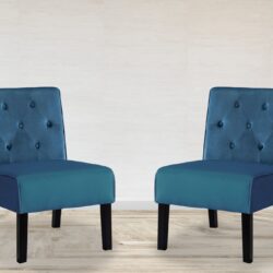 Reese - Living Room Armless Button Tufted Pattern Accent Chair (Set of 2) - Blue