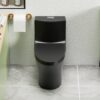 1 Piece Toilet With Dual Flush And Soft Closing Seat - Matte Black - Image 5