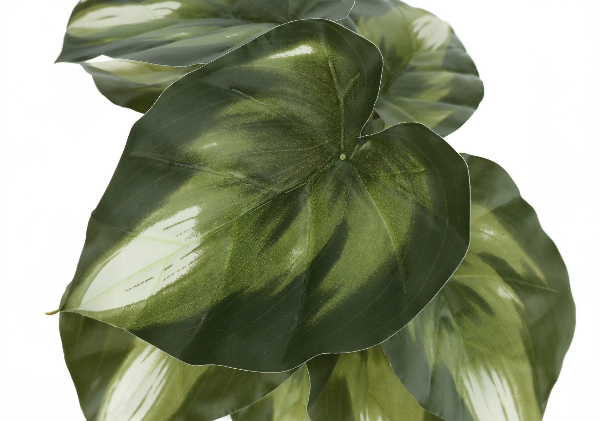 13" Tall, Artificial Plant, Monstera Calthea, Indoor, Faux, Fake, Table, Greenery, Potted, Decorative (Set of 2) - Green / Black - Image 3