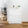 Filing Cabinet Lateral File Cabinet With Lock, 2 Drawer, For Legal / Letter / A4 / F4 Home Office - White - Image 2