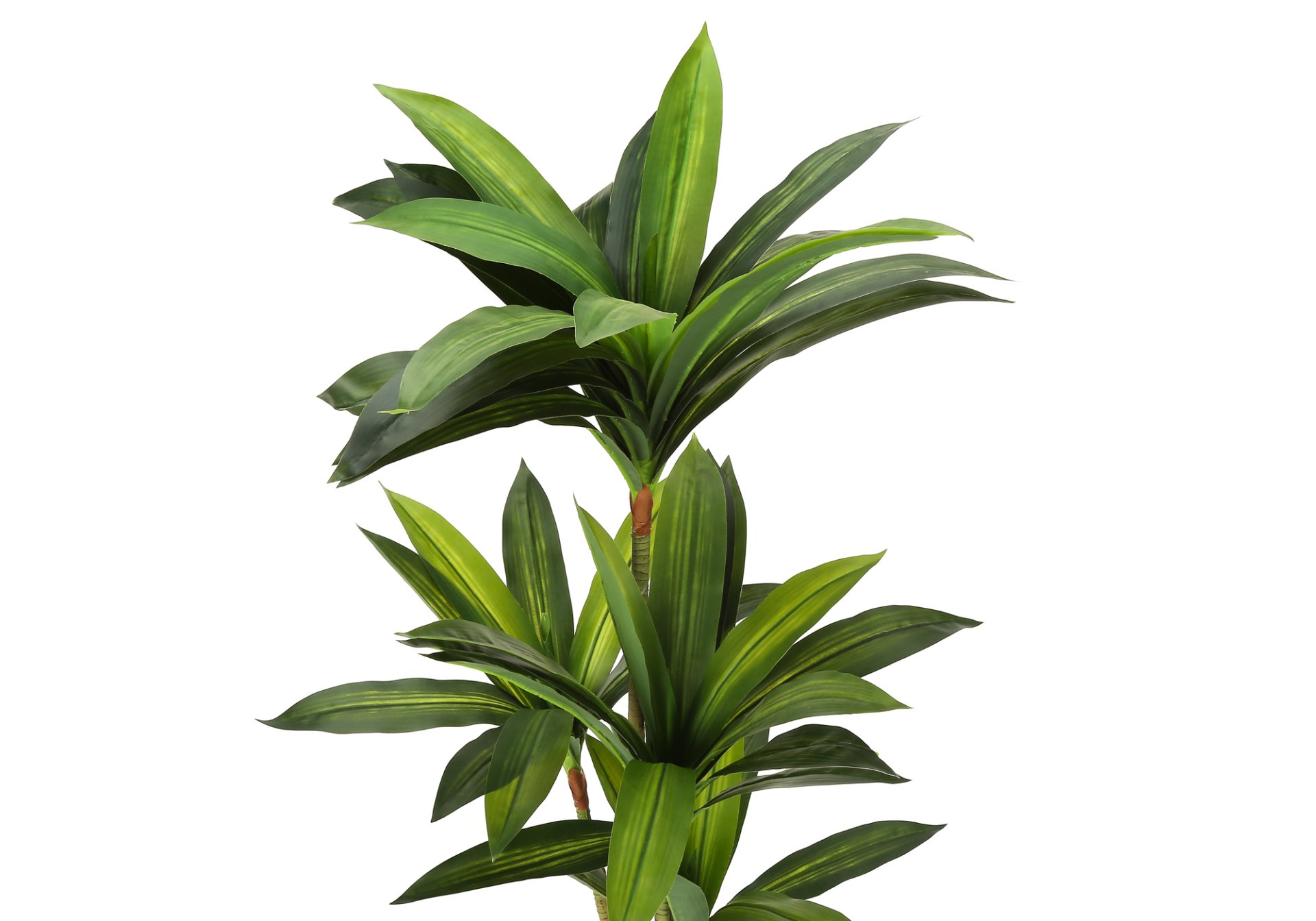 51" Tall, Artificial Plant, Dracaena Tree, Indoor, Faux, Fake, Floor, Greenery, Potted, Real Touch, Decorative - Green / Black - Image 3