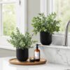11" Tall, Artificial Plant, Eucalyptus Grass, Indoor, Faux, Fake, Table, Greenery, Potted, Decorative (Set of 2) - Green / Black - Image 5