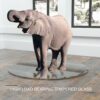 36" Round Tempered Glass Table Top Clear Glass 1 / 2" Thick Beveled Polished Edge - Transparent - Image 12