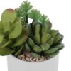 7" Tall, Artificial Plant, Succulent, Indoor, Faux, Fake, Table, Greenery, Potted, Decorative (Set of 2) - Green / White - Image 2