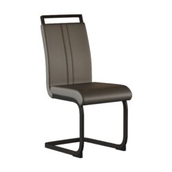 Modern Dining Chairs With High Back Upholstery, C Shaped Tube Design Metal Legs (Set of 2) - Gray
